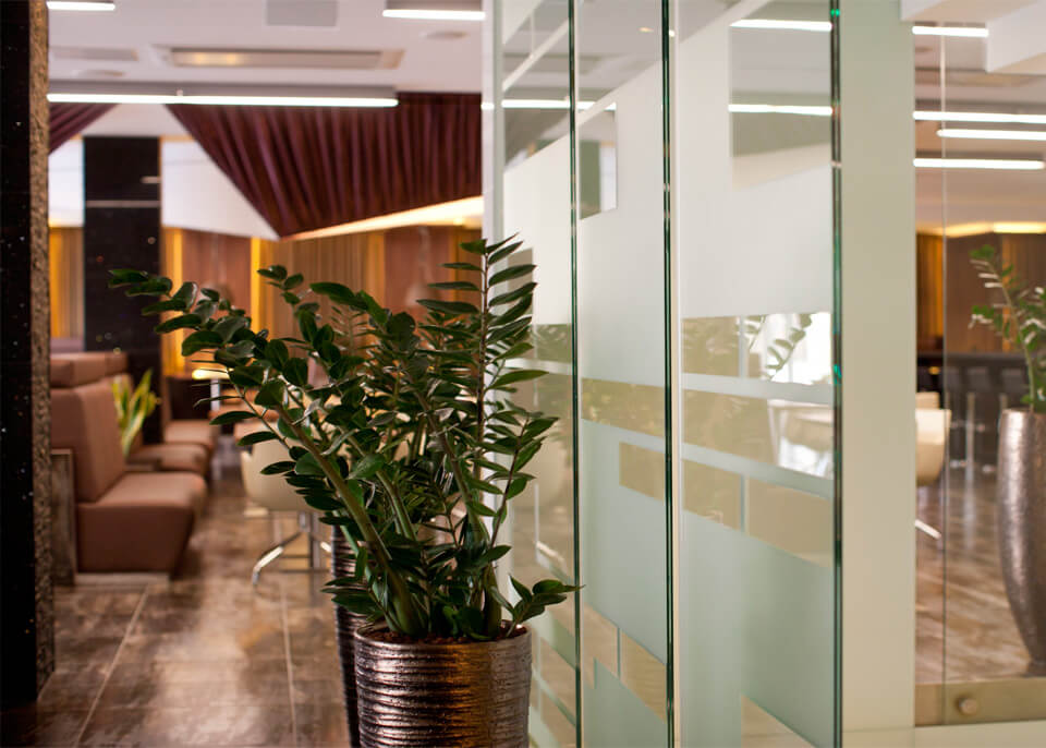 OXYGEN WELLNESS NAPHEGY 10